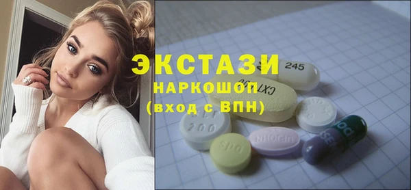 крисы Надым