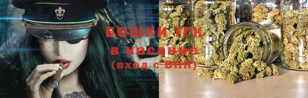 2c-b Горно-Алтайск