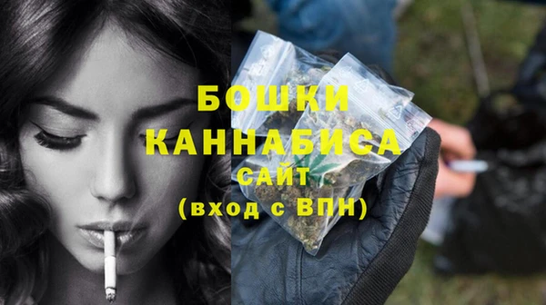 гашик Горняк