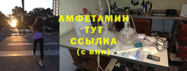 гашик Горняк