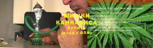 2c-b Горно-Алтайск