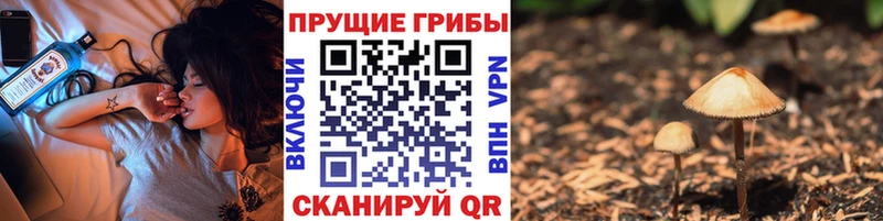 Галлюциногенные грибы прущие грибы  магазин продажи наркотиков  Обь 