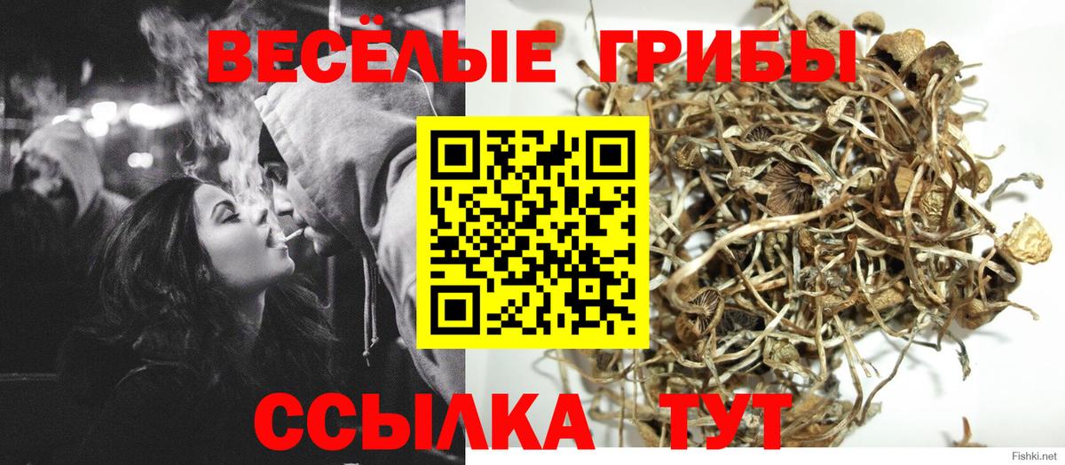 Обь  Галлюциногенные грибы прущие грибы  Вход с VPN 
